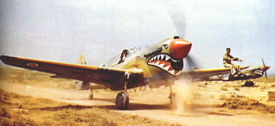 P-40's of 112th Sqn.