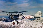 Filename=avro-626.jpg
Filesize=26KiB
Dimensions=449x293
Date added=Sep 24, 2004 avro-626.jpg